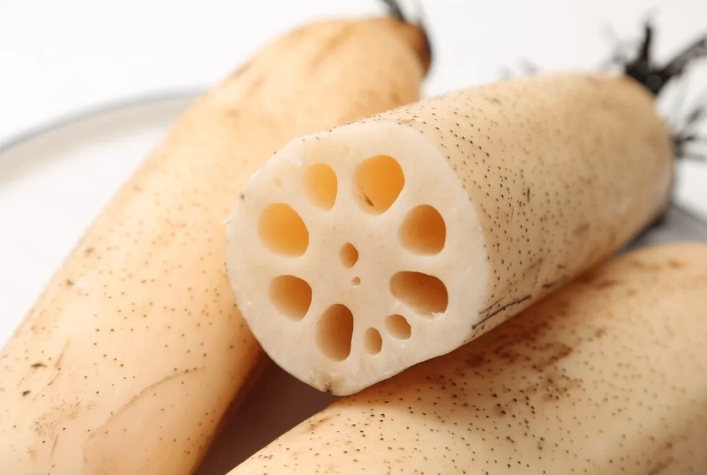 benefits of eating lotus root 