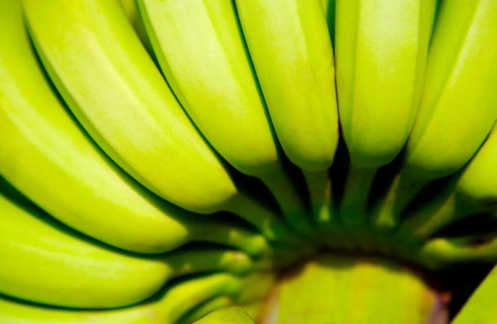 benefits of eating banana for weight lose 