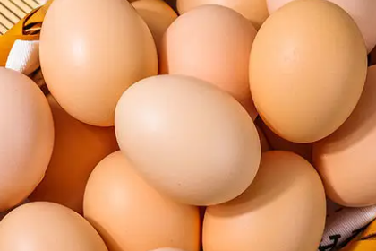 What are the different between people who eat eggs and who do not eat eggs 