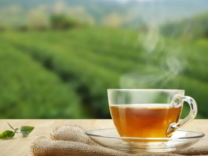 Is drinking tea bad for your health?