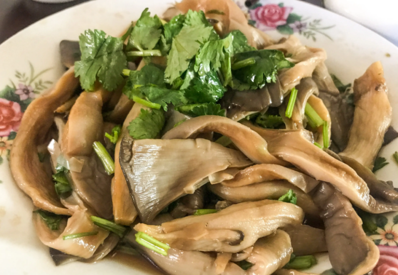 Salad oyster mushrooms