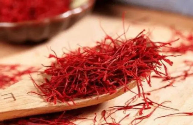 What happens to the body after drinking saffron water for a long time?
