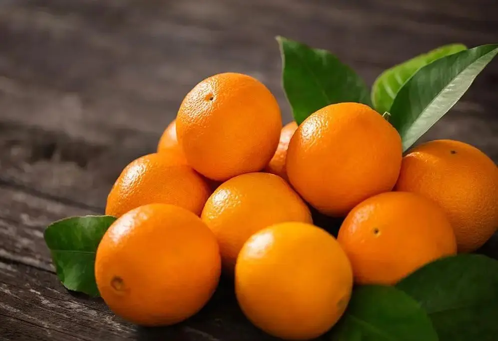 Can hyperlipidemia patients eat oranges?