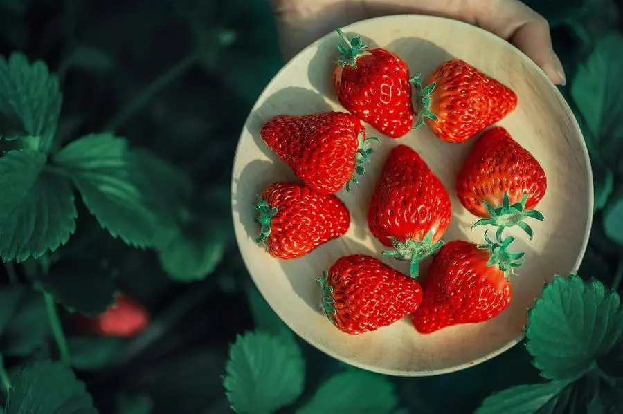 what are the benefits of eating strawberry 