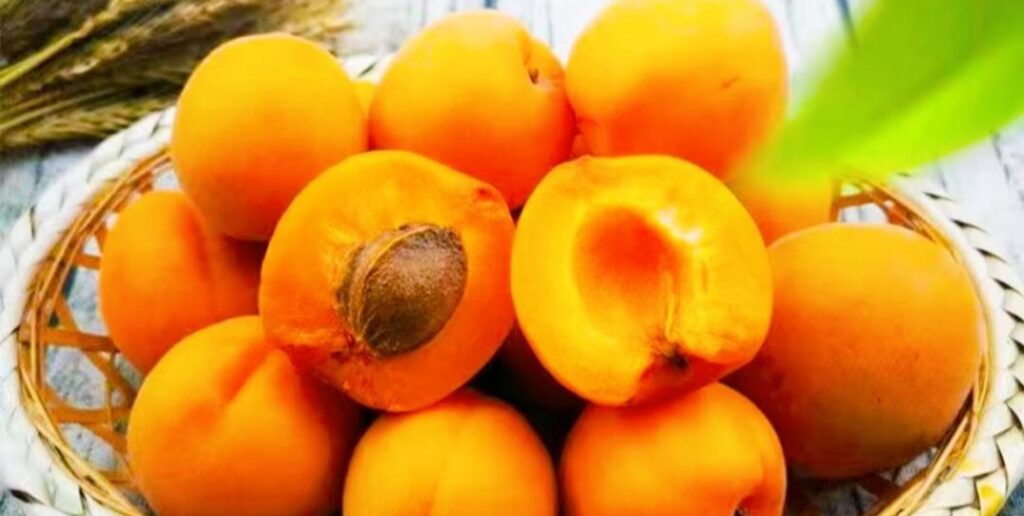   Benefits of Eating apricots 