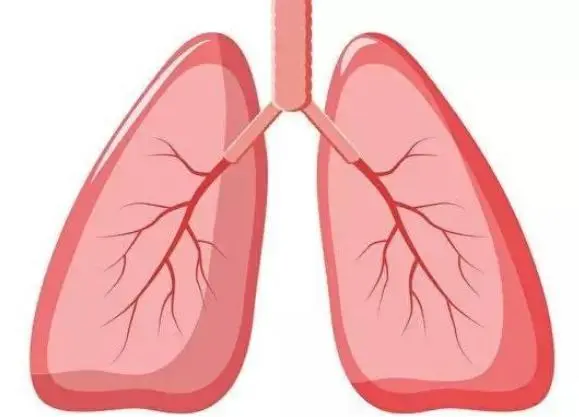 If you want to nourish your lungs, it is recommended to do 5 things
