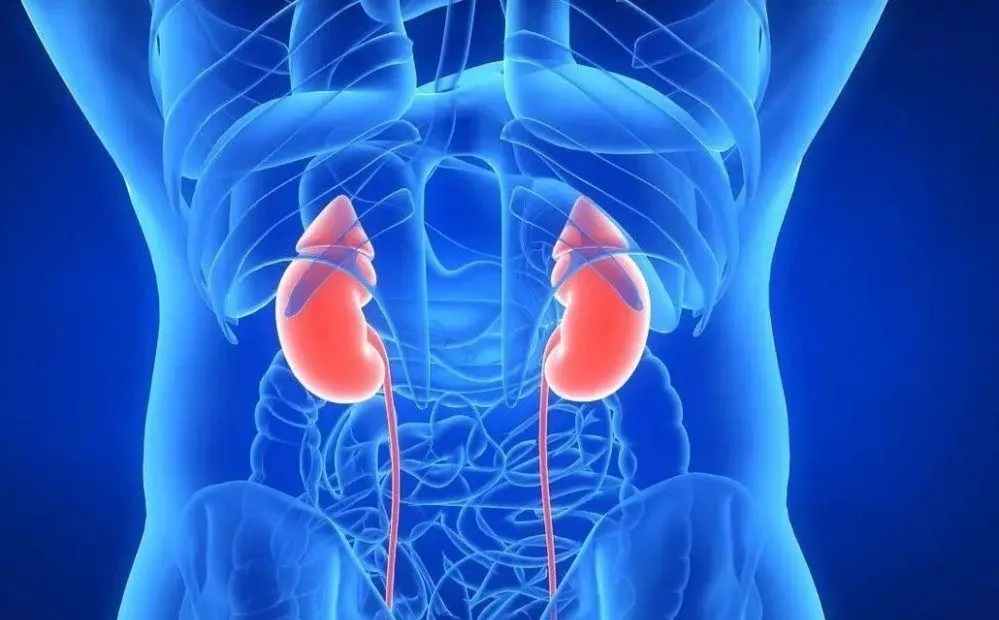 Kidney disease: