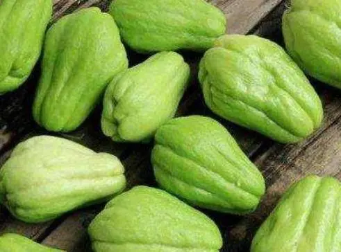  1. Chayote