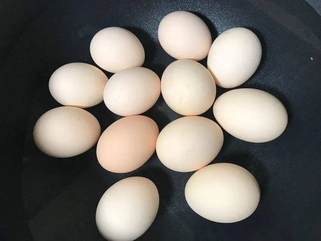 Eggs