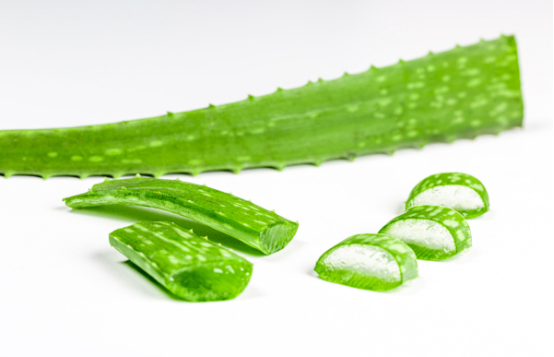 Can I use aloe vera directly for skin care?  