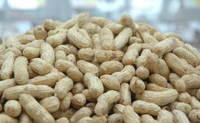 Can Diabetics Eat Peanuts GrowMoreHealth