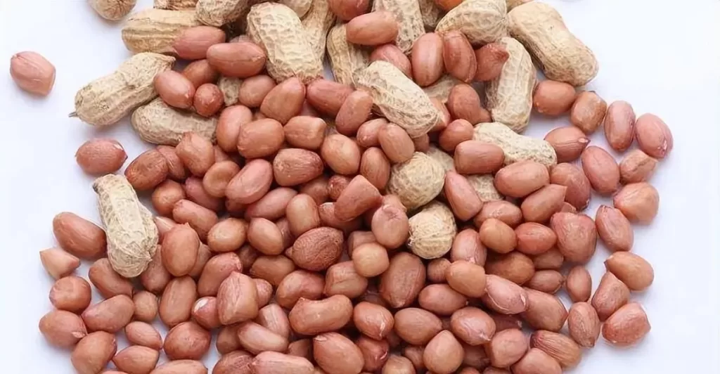  Why can't you drink peanuts with rice?