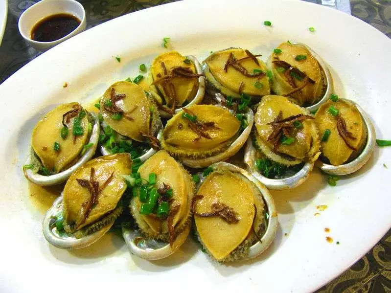 . Abalone