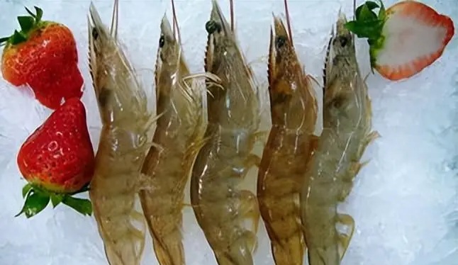 4.Eat more prawns: 