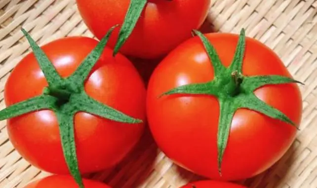  Can gout sufferers eat tomatoes?