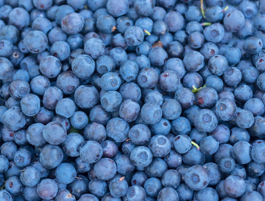  6. Blueberries