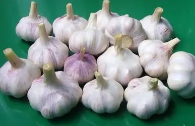 2. Garlic