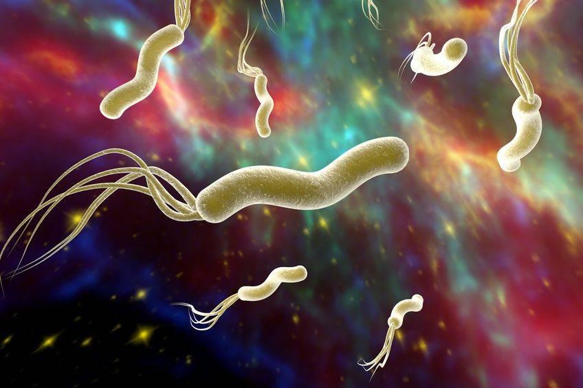  What to eat with Helicobacter pylori in the body?