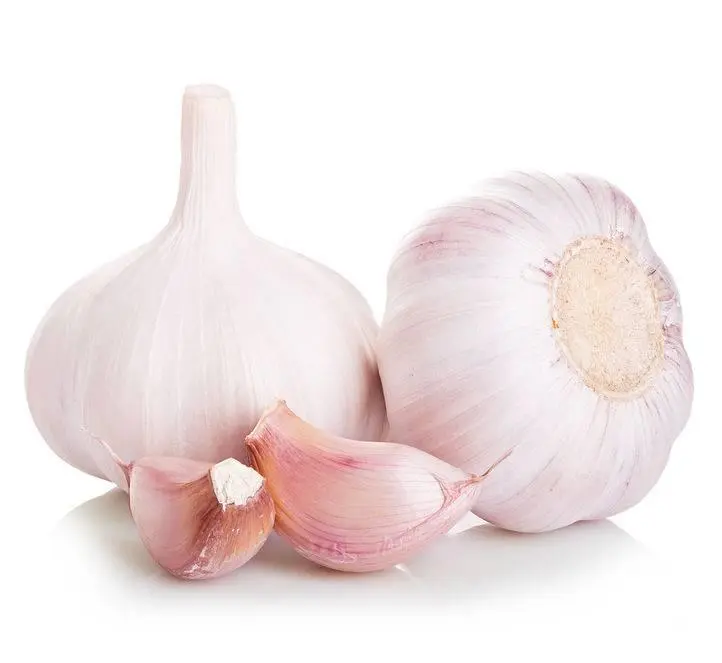  1. Purple single head garlic