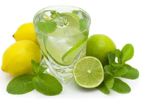 2. Lemon