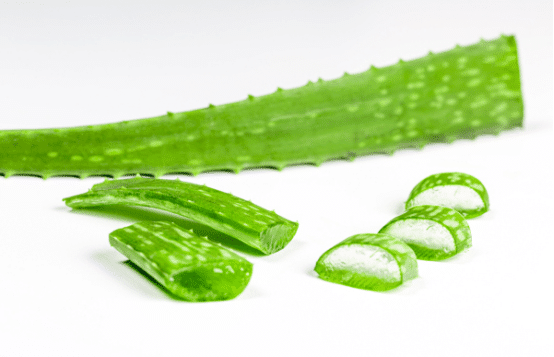 Which aloe vera gel plant is best for face, USA, UK, CANADA