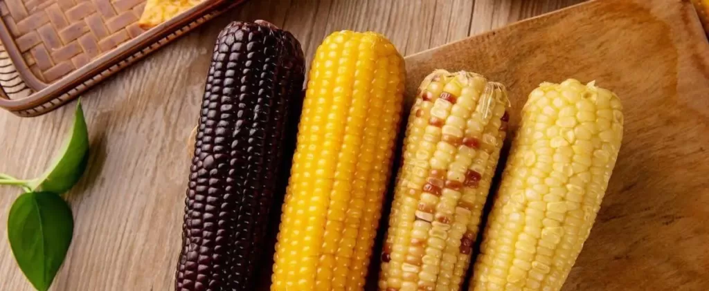 Which corn is better for nutrition Sweet corn, waxy corn, old corn, purple corn, 