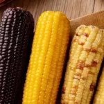 Which corn is better for nutrition Sweet corn, waxy corn, old corn, purple corn,