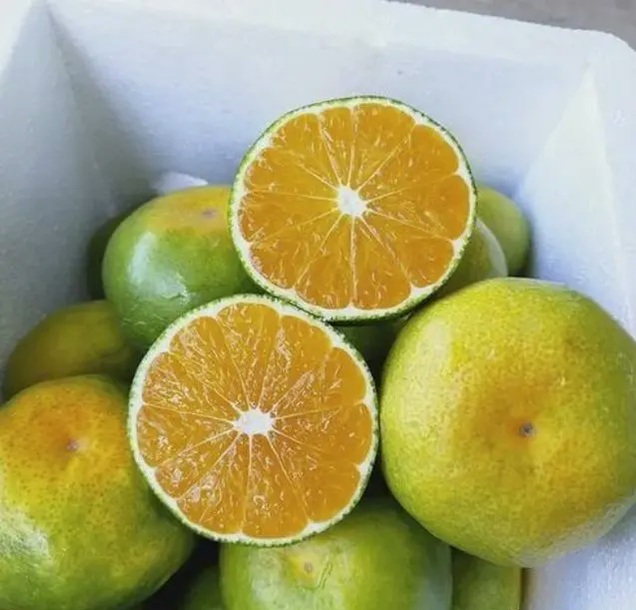 What are the benefits of eating Seedless Oranges