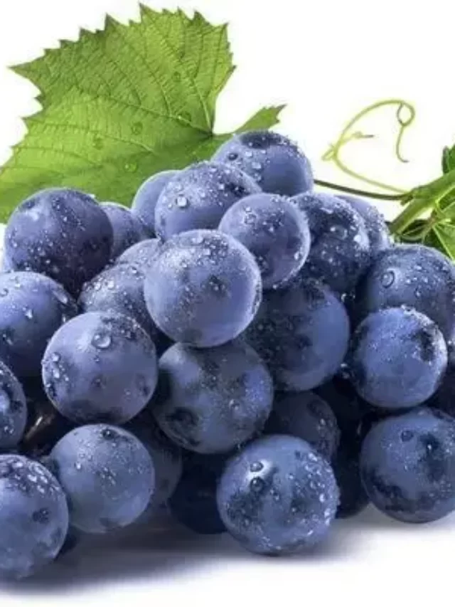 Eating Grapes benefits