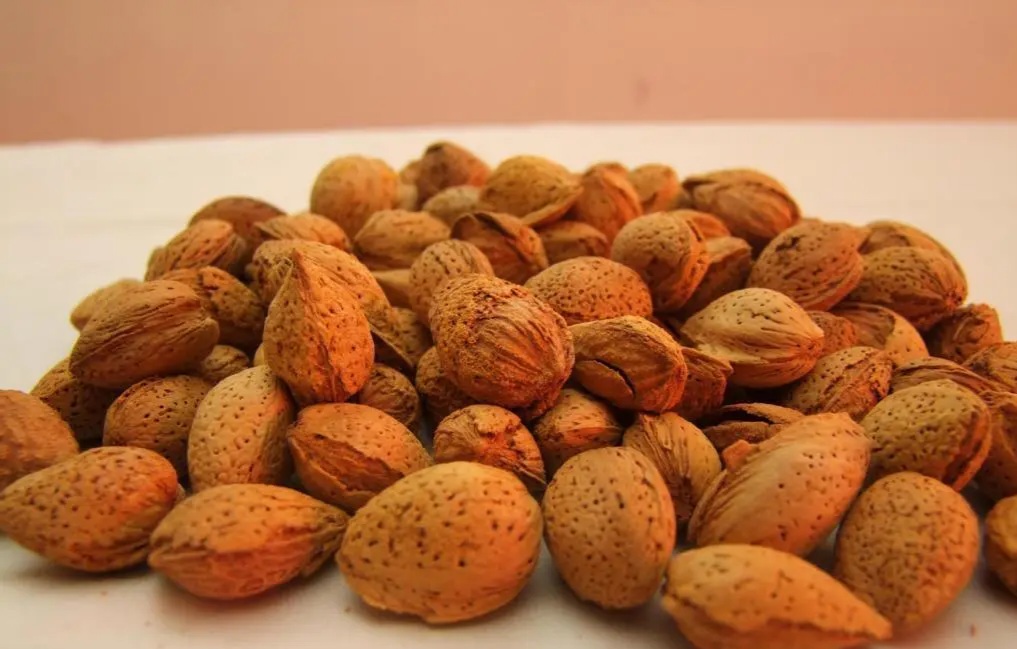 nuts we should avoid or not eat