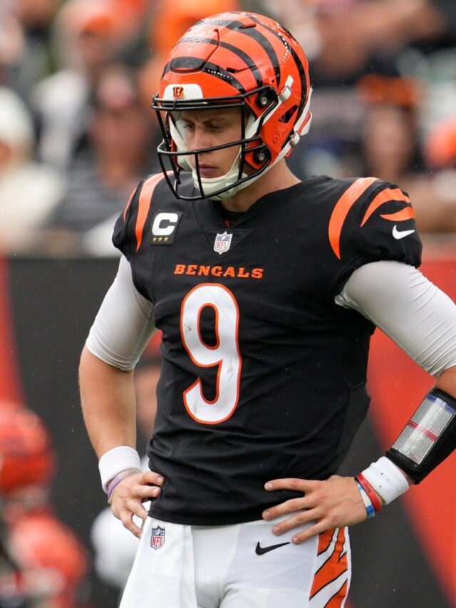 Bengals, Today news