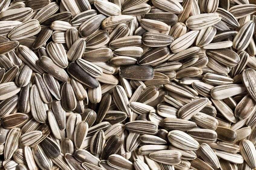 3. Eat fewer sunflower seeds.  