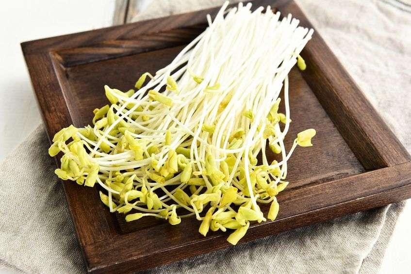  2. Mung bean sprouts